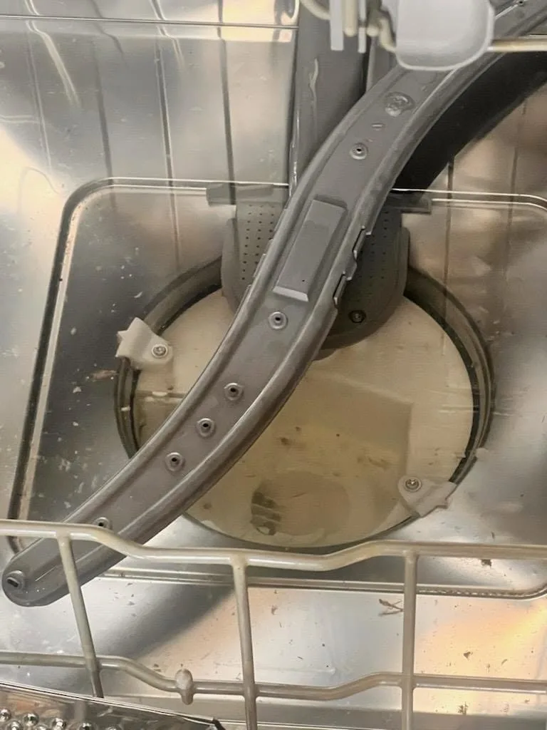 dishwasher-spray-arm-and-sump-cleaning