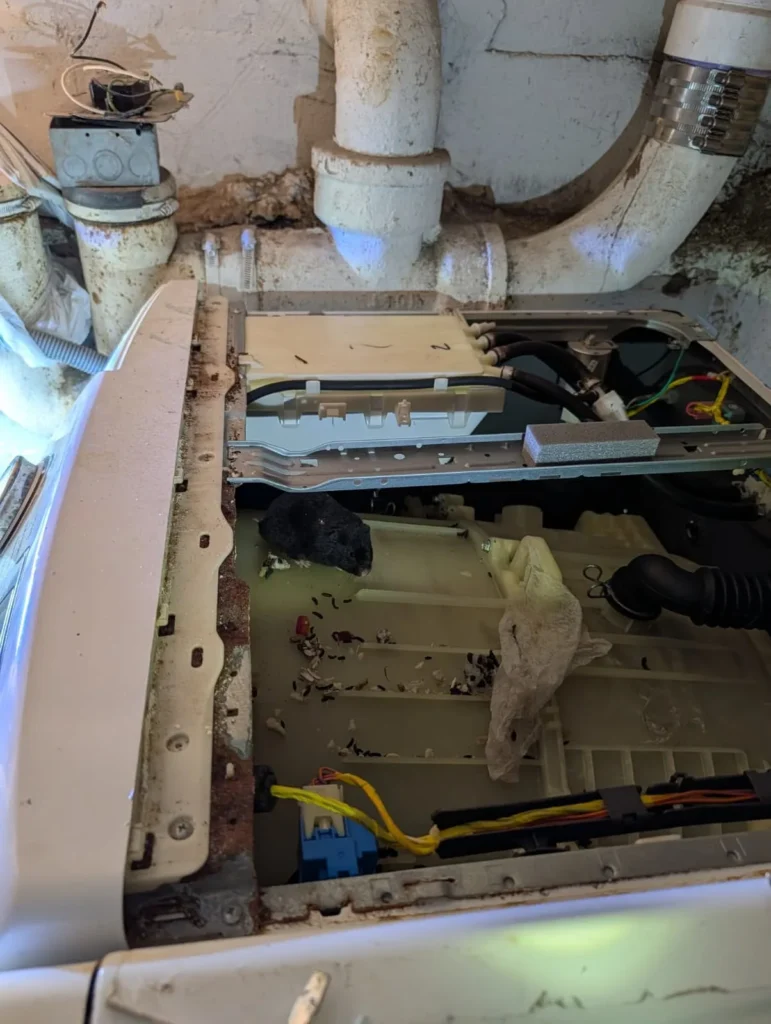 Washing machine top panel removed to access internal components.